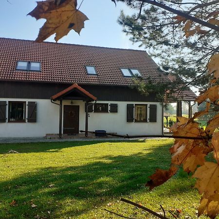 Przytulisko Stara Kiszewa Villa Kültér fotó